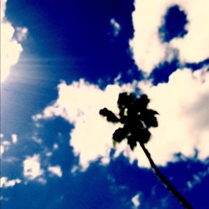 Meet your Posher, Simonetta